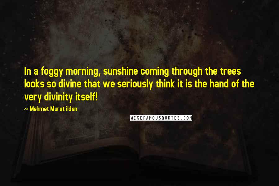 Mehmet Murat Ildan Quotes: In a foggy morning, sunshine coming through the trees looks so divine that we seriously think it is the hand of the very divinity itself!