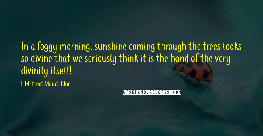 Mehmet Murat Ildan Quotes: In a foggy morning, sunshine coming through the trees looks so divine that we seriously think it is the hand of the very divinity itself!