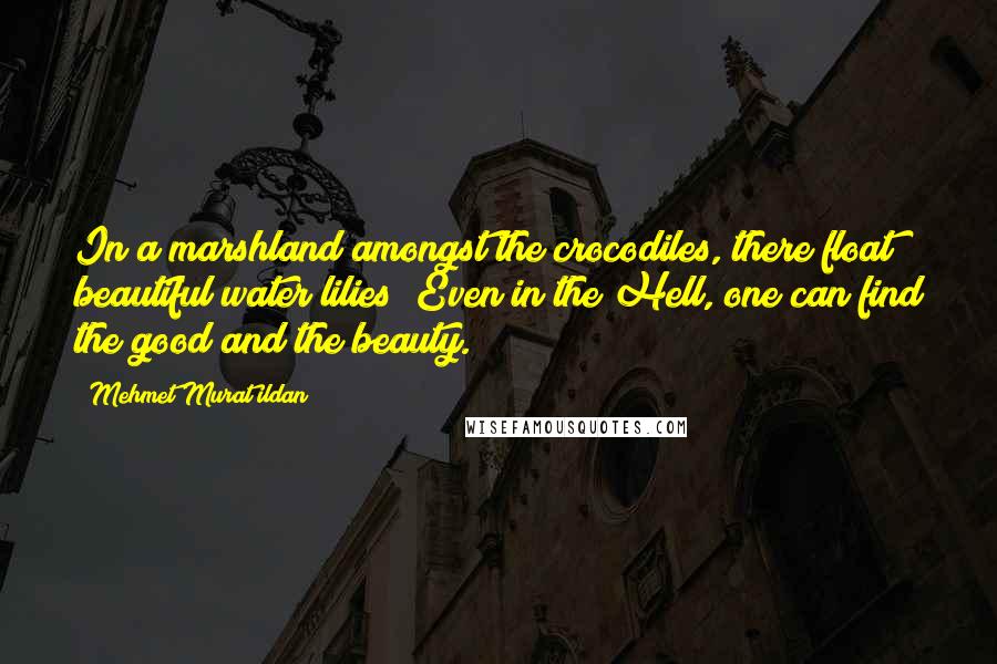 Mehmet Murat Ildan Quotes: In a marshland amongst the crocodiles, there float beautiful water lilies! Even in the Hell, one can find the good and the beauty.