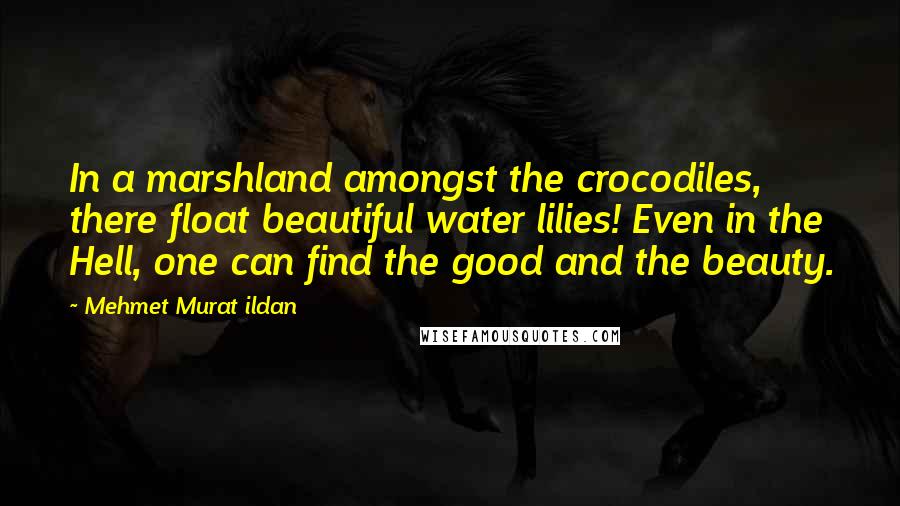 Mehmet Murat Ildan Quotes: In a marshland amongst the crocodiles, there float beautiful water lilies! Even in the Hell, one can find the good and the beauty.