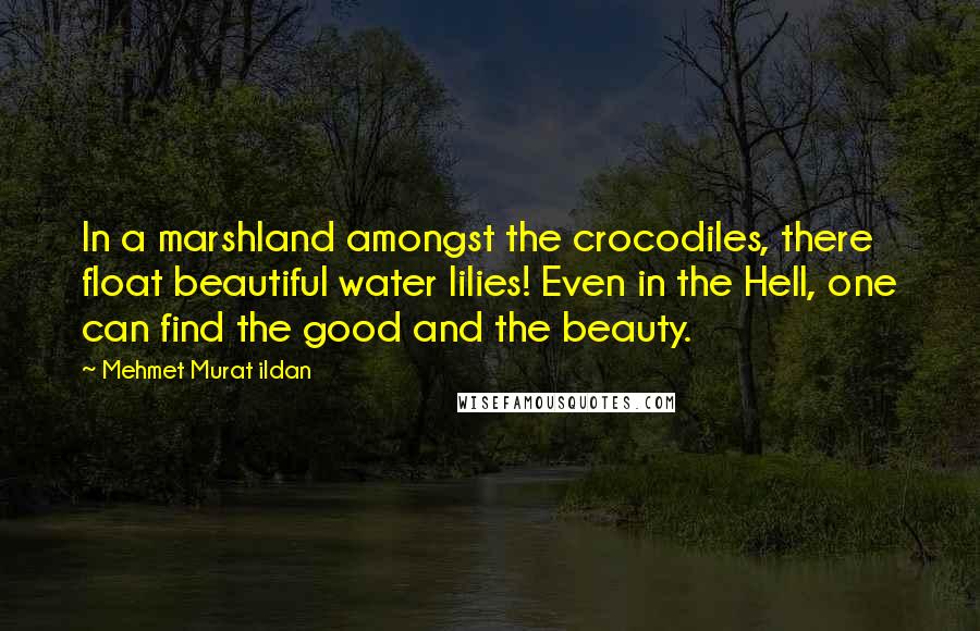 Mehmet Murat Ildan Quotes: In a marshland amongst the crocodiles, there float beautiful water lilies! Even in the Hell, one can find the good and the beauty.