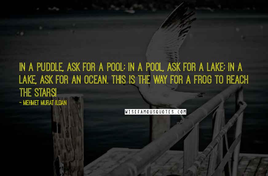 Mehmet Murat Ildan Quotes: In a puddle, ask for a pool; in a pool, ask for a lake; in a lake, ask for an ocean. This is the way for a frog to reach the stars!