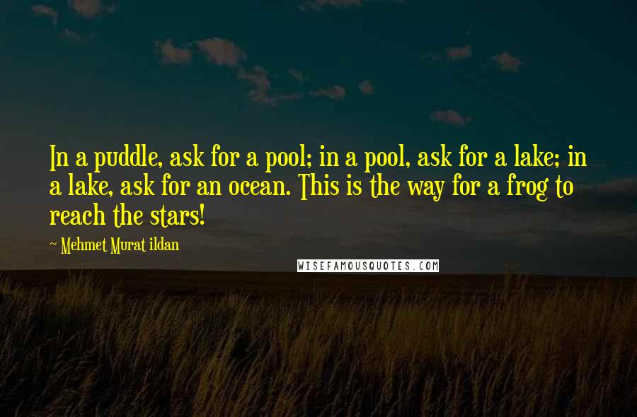 Mehmet Murat Ildan Quotes: In a puddle, ask for a pool; in a pool, ask for a lake; in a lake, ask for an ocean. This is the way for a frog to reach the stars!