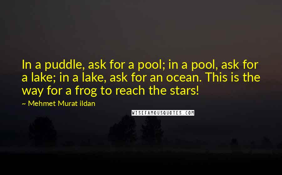 Mehmet Murat Ildan Quotes: In a puddle, ask for a pool; in a pool, ask for a lake; in a lake, ask for an ocean. This is the way for a frog to reach the stars!