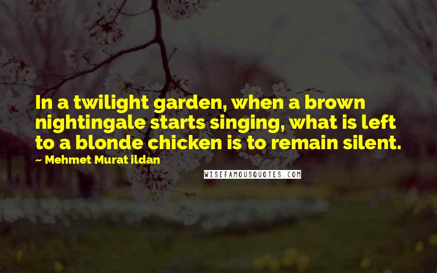 Mehmet Murat Ildan Quotes: In a twilight garden, when a brown nightingale starts singing, what is left to a blonde chicken is to remain silent.