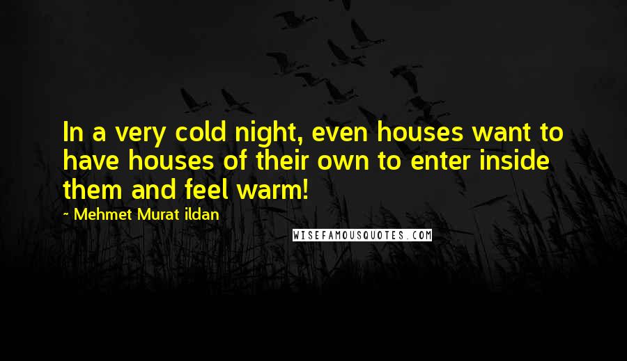 Mehmet Murat Ildan Quotes: In a very cold night, even houses want to have houses of their own to enter inside them and feel warm!