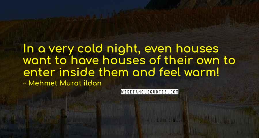 Mehmet Murat Ildan Quotes: In a very cold night, even houses want to have houses of their own to enter inside them and feel warm!