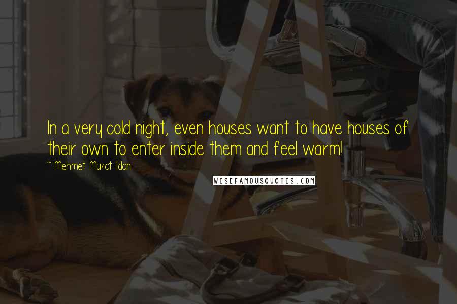 Mehmet Murat Ildan Quotes: In a very cold night, even houses want to have houses of their own to enter inside them and feel warm!