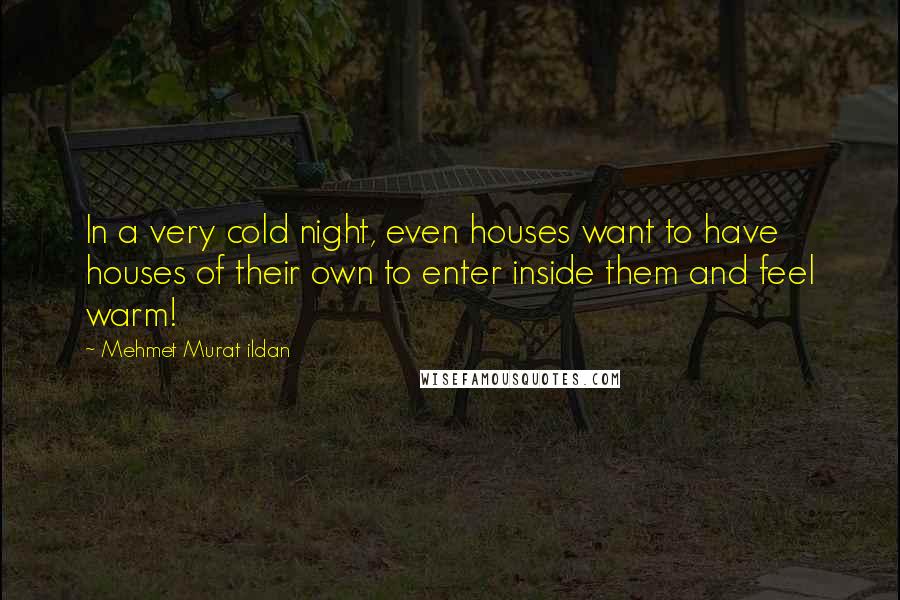 Mehmet Murat Ildan Quotes: In a very cold night, even houses want to have houses of their own to enter inside them and feel warm!