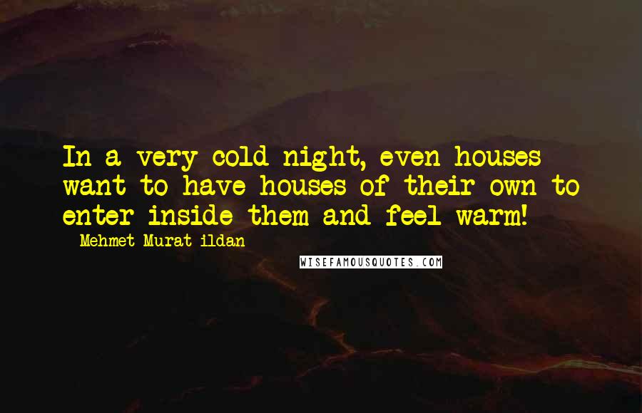 Mehmet Murat Ildan Quotes: In a very cold night, even houses want to have houses of their own to enter inside them and feel warm!