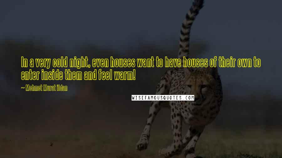 Mehmet Murat Ildan Quotes: In a very cold night, even houses want to have houses of their own to enter inside them and feel warm!