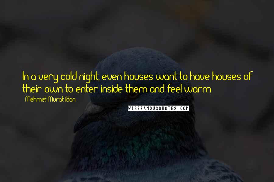 Mehmet Murat Ildan Quotes: In a very cold night, even houses want to have houses of their own to enter inside them and feel warm!