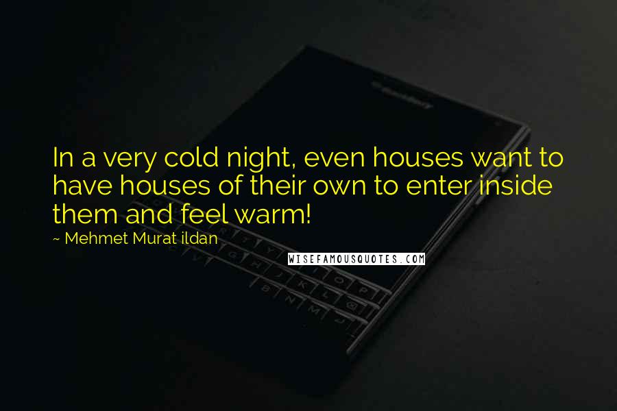 Mehmet Murat Ildan Quotes: In a very cold night, even houses want to have houses of their own to enter inside them and feel warm!