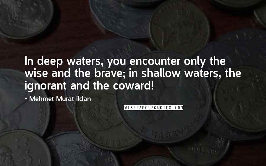 Mehmet Murat Ildan Quotes: In deep waters, you encounter only the wise and the brave; in shallow waters, the ignorant and the coward!