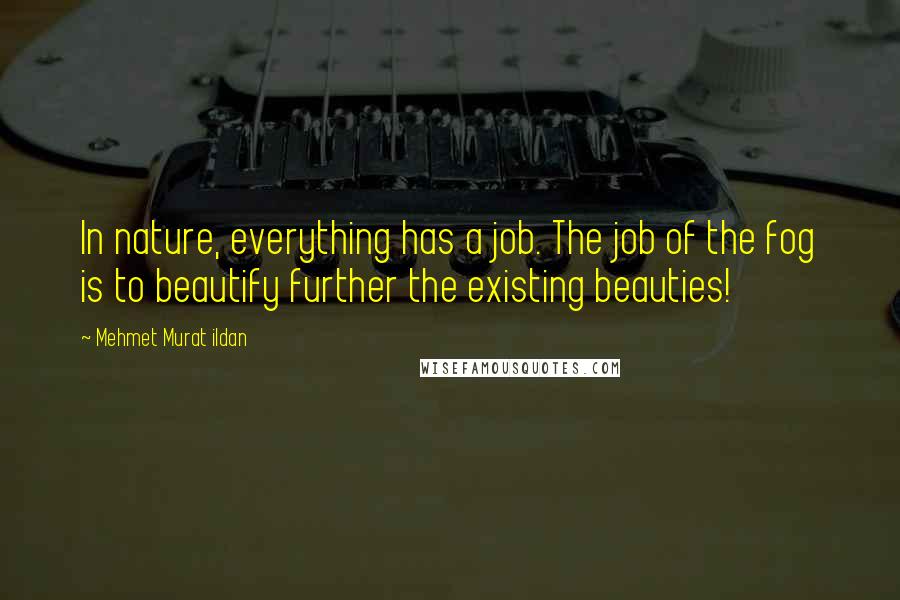 Mehmet Murat Ildan Quotes: In nature, everything has a job. The job of the fog is to beautify further the existing beauties!