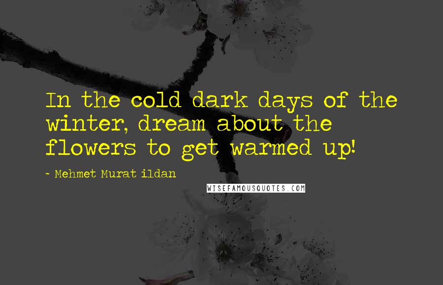 Mehmet Murat Ildan Quotes: In the cold dark days of the winter, dream about the flowers to get warmed up!