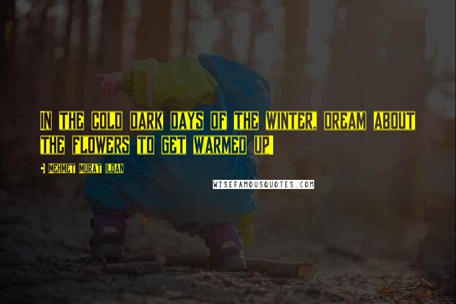 Mehmet Murat Ildan Quotes: In the cold dark days of the winter, dream about the flowers to get warmed up!