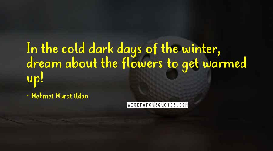 Mehmet Murat Ildan Quotes: In the cold dark days of the winter, dream about the flowers to get warmed up!