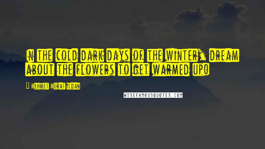 Mehmet Murat Ildan Quotes: In the cold dark days of the winter, dream about the flowers to get warmed up!