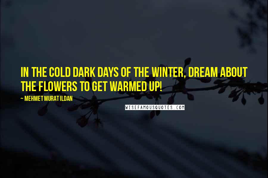 Mehmet Murat Ildan Quotes: In the cold dark days of the winter, dream about the flowers to get warmed up!