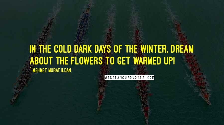 Mehmet Murat Ildan Quotes: In the cold dark days of the winter, dream about the flowers to get warmed up!