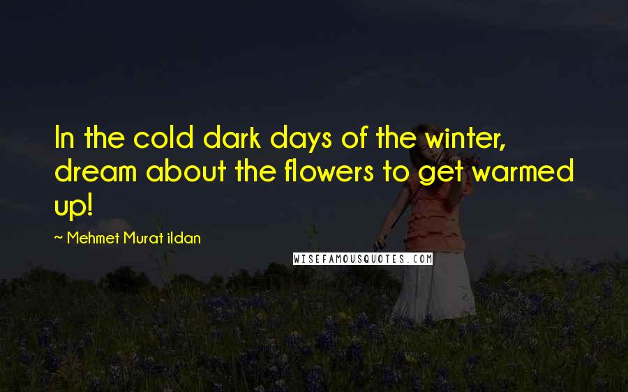 Mehmet Murat Ildan Quotes: In the cold dark days of the winter, dream about the flowers to get warmed up!