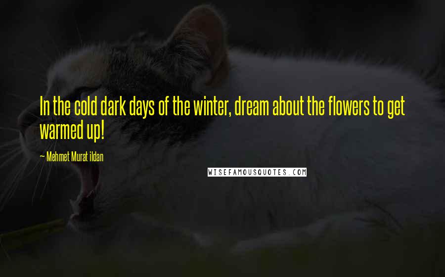 Mehmet Murat Ildan Quotes: In the cold dark days of the winter, dream about the flowers to get warmed up!