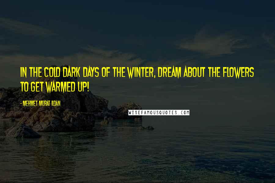 Mehmet Murat Ildan Quotes: In the cold dark days of the winter, dream about the flowers to get warmed up!