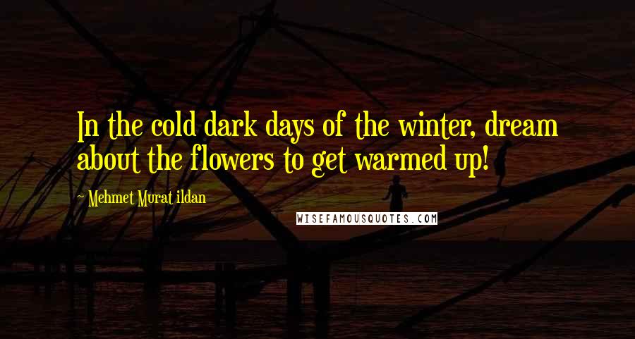 Mehmet Murat Ildan Quotes: In the cold dark days of the winter, dream about the flowers to get warmed up!