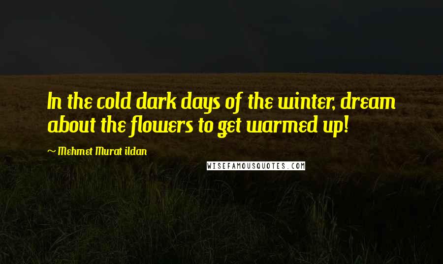 Mehmet Murat Ildan Quotes: In the cold dark days of the winter, dream about the flowers to get warmed up!