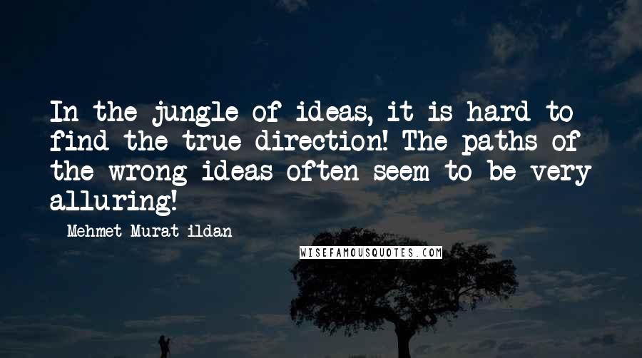 Mehmet Murat Ildan Quotes: In the jungle of ideas, it is hard to find the true direction! The paths of the wrong ideas often seem to be very alluring!