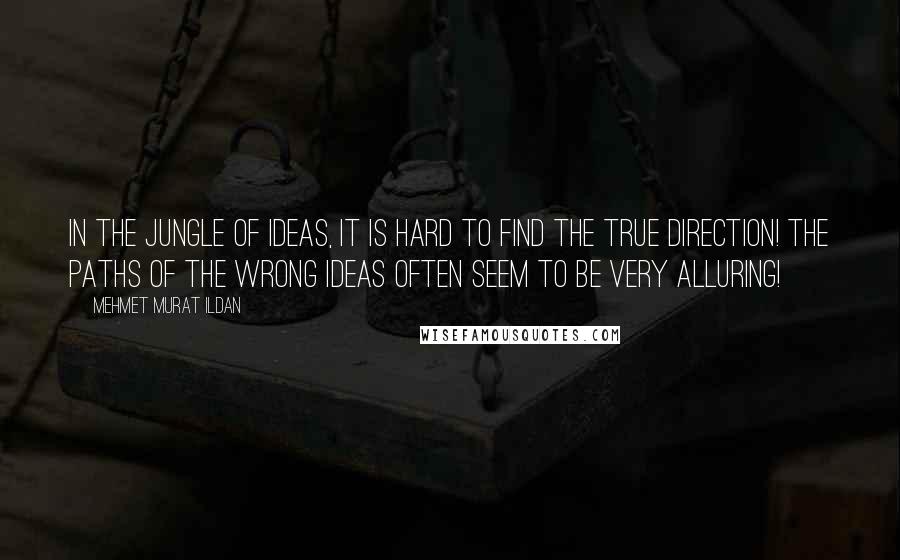 Mehmet Murat Ildan Quotes: In the jungle of ideas, it is hard to find the true direction! The paths of the wrong ideas often seem to be very alluring!