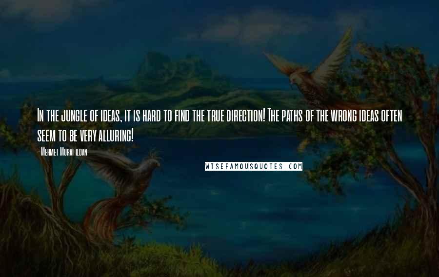 Mehmet Murat Ildan Quotes: In the jungle of ideas, it is hard to find the true direction! The paths of the wrong ideas often seem to be very alluring!