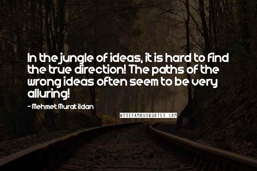 Mehmet Murat Ildan Quotes: In the jungle of ideas, it is hard to find the true direction! The paths of the wrong ideas often seem to be very alluring!