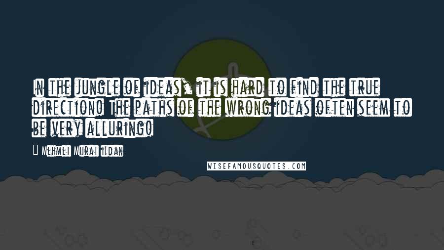 Mehmet Murat Ildan Quotes: In the jungle of ideas, it is hard to find the true direction! The paths of the wrong ideas often seem to be very alluring!