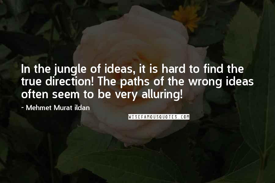 Mehmet Murat Ildan Quotes: In the jungle of ideas, it is hard to find the true direction! The paths of the wrong ideas often seem to be very alluring!