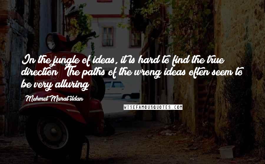 Mehmet Murat Ildan Quotes: In the jungle of ideas, it is hard to find the true direction! The paths of the wrong ideas often seem to be very alluring!