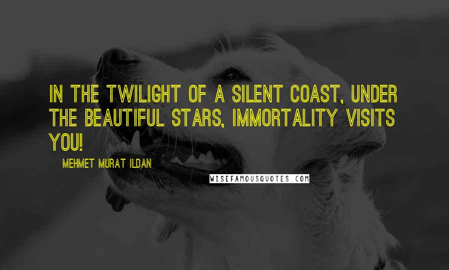 Mehmet Murat Ildan Quotes: In the twilight of a silent coast, under the beautiful stars, immortality visits you!