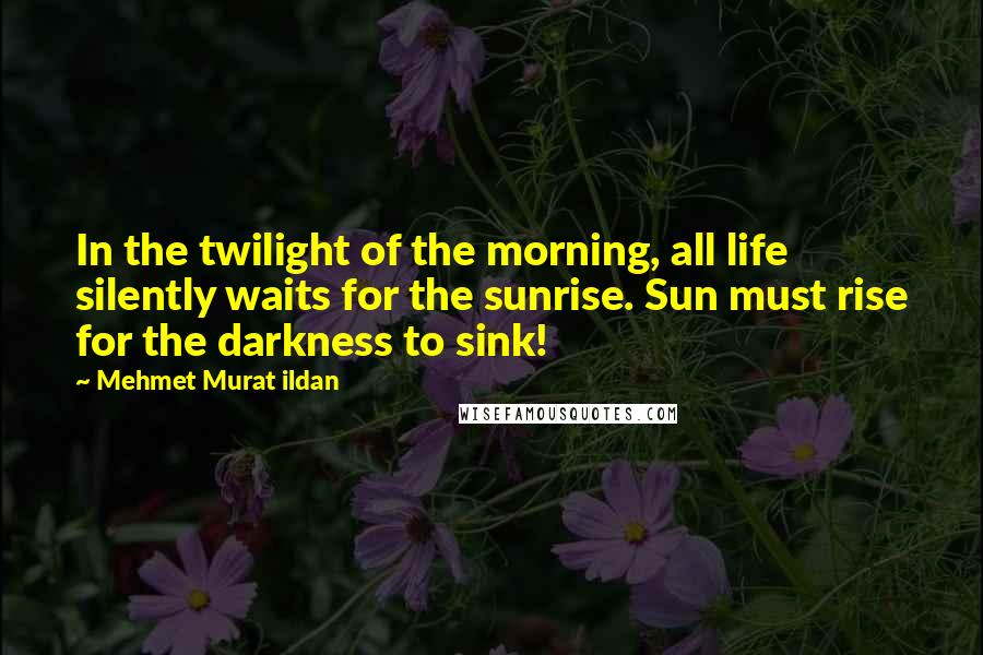 Mehmet Murat Ildan Quotes: In the twilight of the morning, all life silently waits for the sunrise. Sun must rise for the darkness to sink!