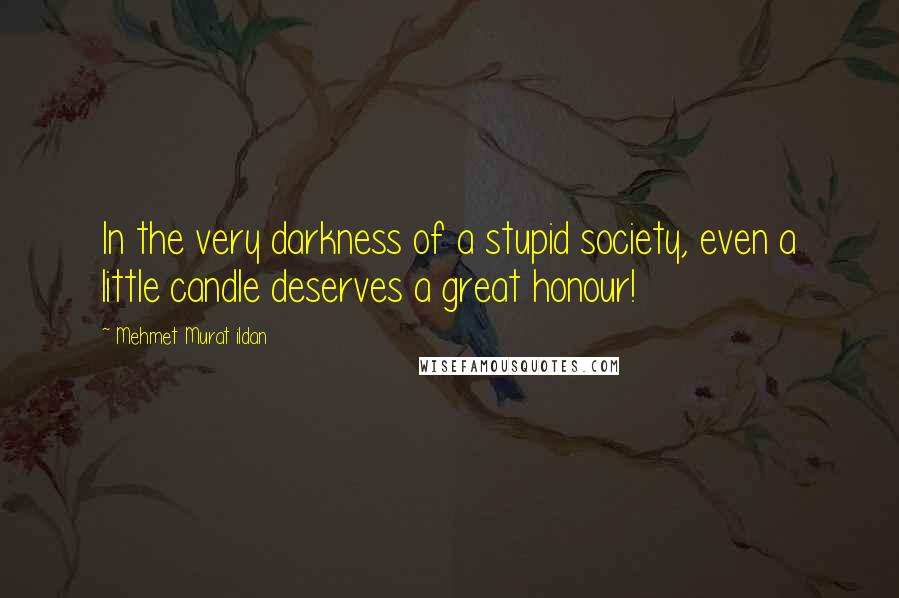 Mehmet Murat Ildan Quotes: In the very darkness of a stupid society, even a little candle deserves a great honour!