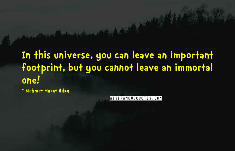Mehmet Murat Ildan Quotes: In this universe, you can leave an important footprint, but you cannot leave an immortal one!