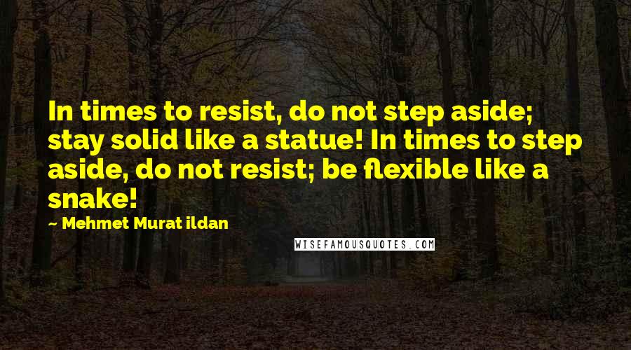Mehmet Murat Ildan Quotes: In times to resist, do not step aside; stay solid like a statue! In times to step aside, do not resist; be flexible like a snake!