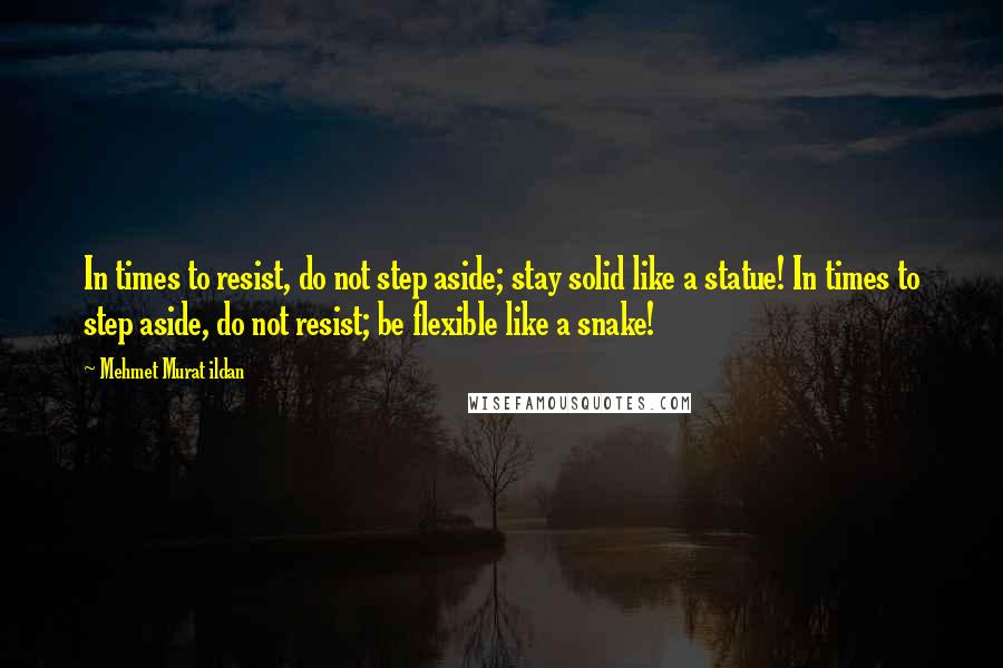 Mehmet Murat Ildan Quotes: In times to resist, do not step aside; stay solid like a statue! In times to step aside, do not resist; be flexible like a snake!