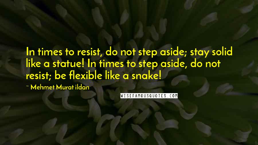 Mehmet Murat Ildan Quotes: In times to resist, do not step aside; stay solid like a statue! In times to step aside, do not resist; be flexible like a snake!
