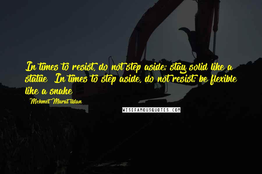 Mehmet Murat Ildan Quotes: In times to resist, do not step aside; stay solid like a statue! In times to step aside, do not resist; be flexible like a snake!