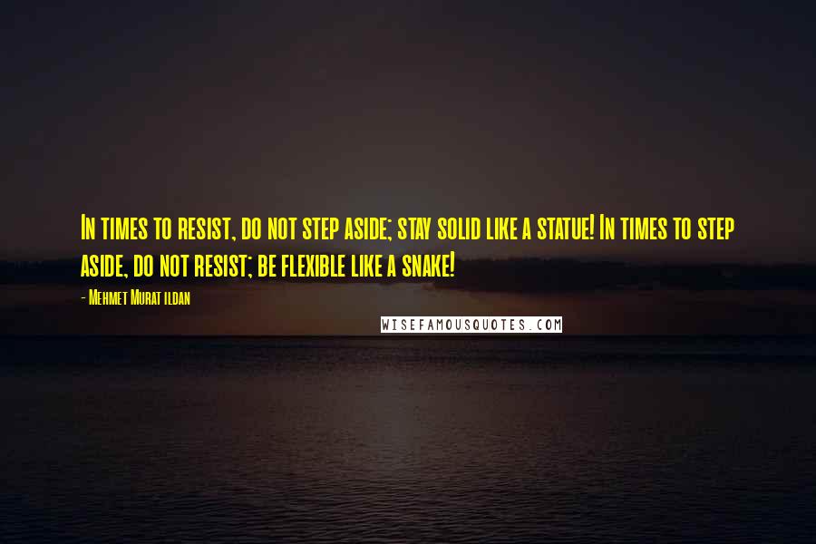 Mehmet Murat Ildan Quotes: In times to resist, do not step aside; stay solid like a statue! In times to step aside, do not resist; be flexible like a snake!