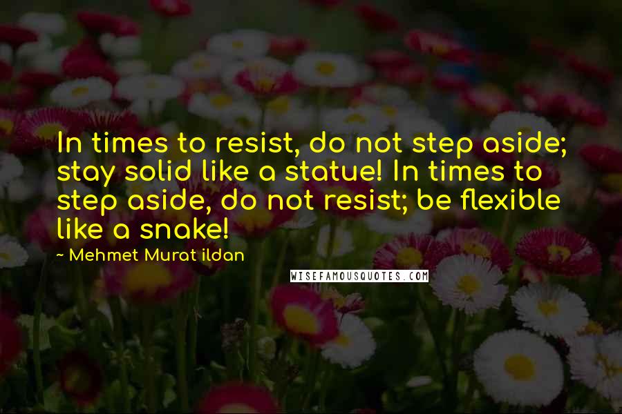 Mehmet Murat Ildan Quotes: In times to resist, do not step aside; stay solid like a statue! In times to step aside, do not resist; be flexible like a snake!
