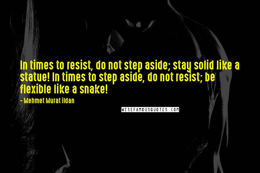 Mehmet Murat Ildan Quotes: In times to resist, do not step aside; stay solid like a statue! In times to step aside, do not resist; be flexible like a snake!