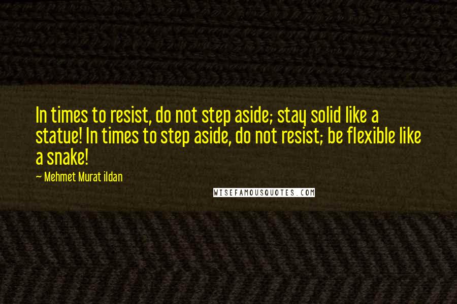 Mehmet Murat Ildan Quotes: In times to resist, do not step aside; stay solid like a statue! In times to step aside, do not resist; be flexible like a snake!