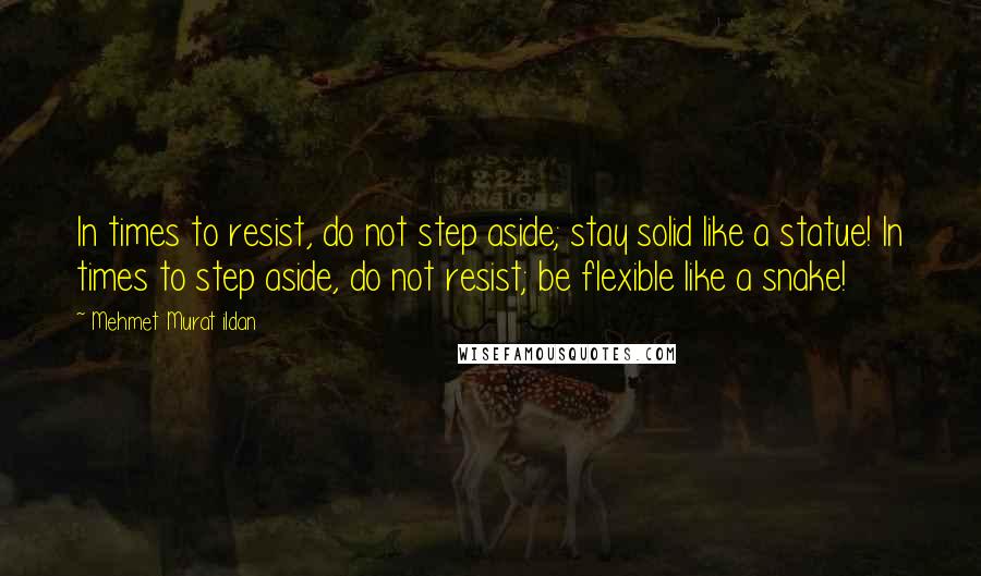 Mehmet Murat Ildan Quotes: In times to resist, do not step aside; stay solid like a statue! In times to step aside, do not resist; be flexible like a snake!